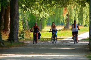 Fahradfahrer auf einem Radweg mit Bäumen in der Oberaue in Jena