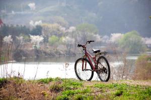 Fahrrad vor See im Frühling, im Hintergrund blühende Bäume