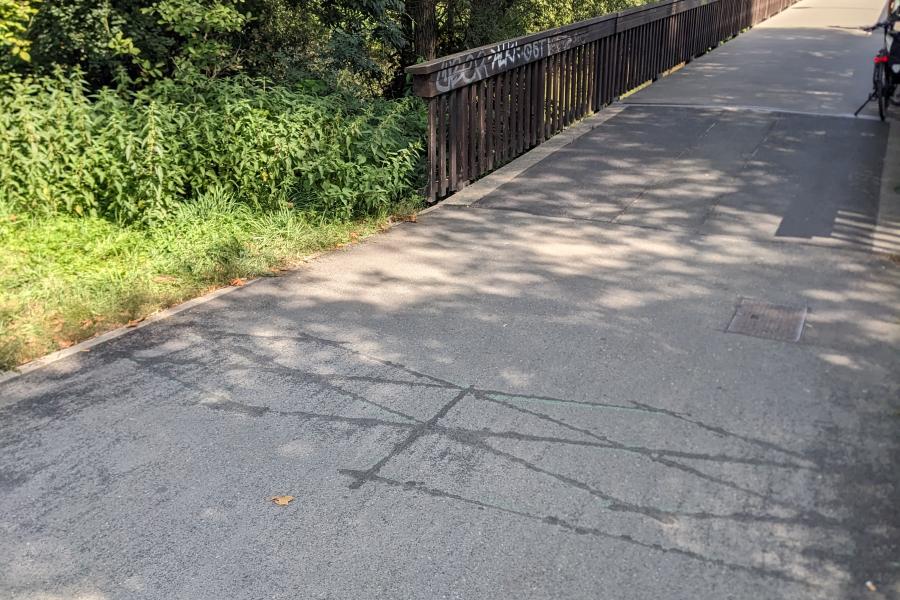 Im Vordergrund der asphaltierte Weg von Westen kommend über die Griesbrücke, man sieht die Rauten im Weg, das sind die Zählschleifen, grüne Ufergehölze